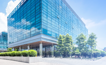 Large Enterprises