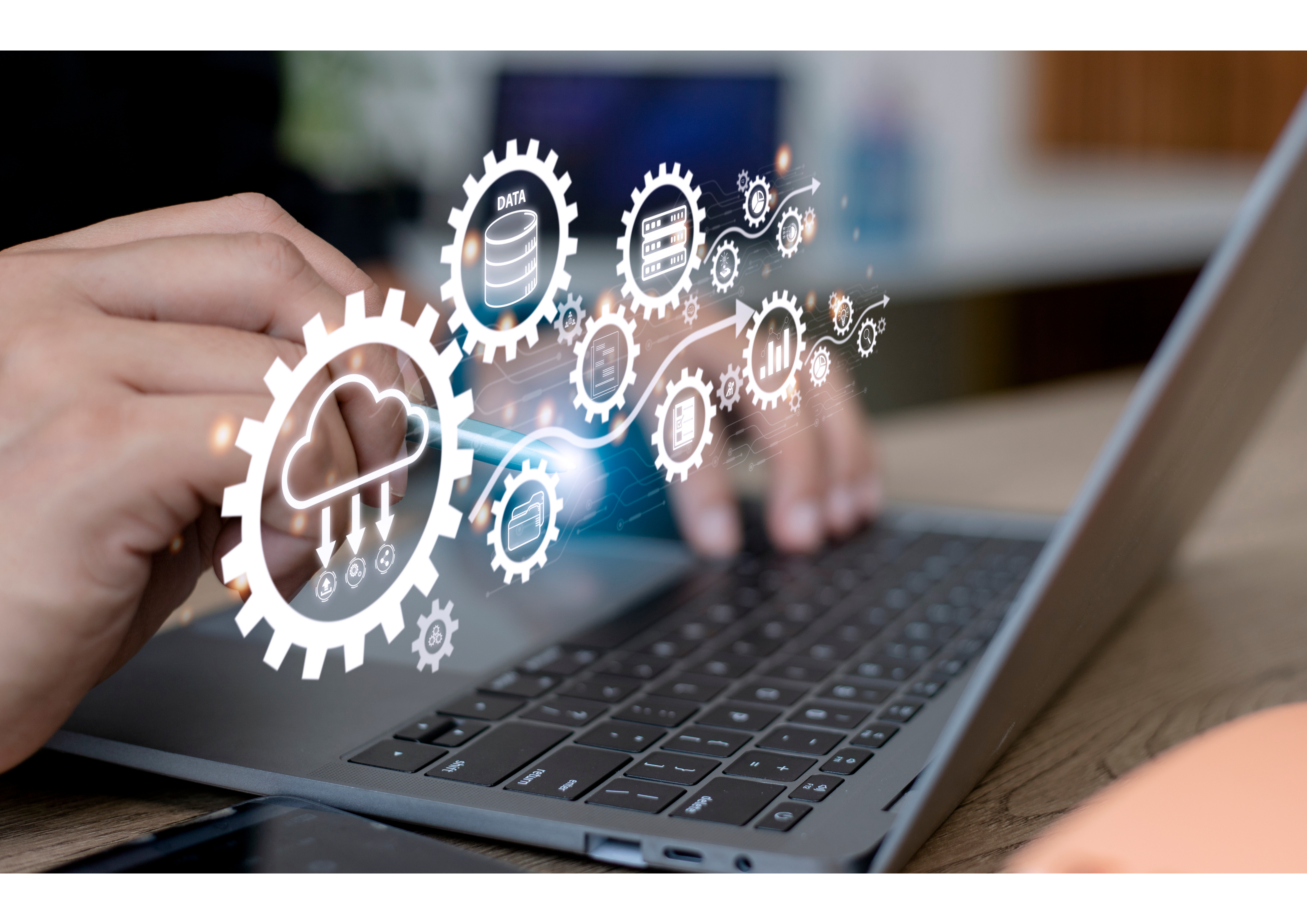 Training and Online Demo